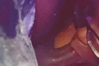 ❗2NUTS SPECIAL❗, QV DEAL, 💦BBJ DEALS , 4/20🍃 - Image 4