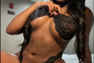 YOUR FAV TOP NOTCH CHOCOLATE BUNNY - Image 1